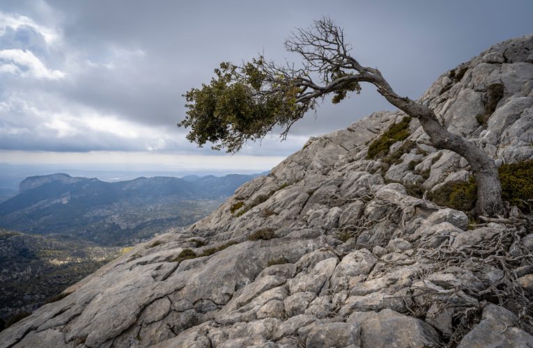 North Richland Hills: The Importance of Resilience in Overcoming Trauma